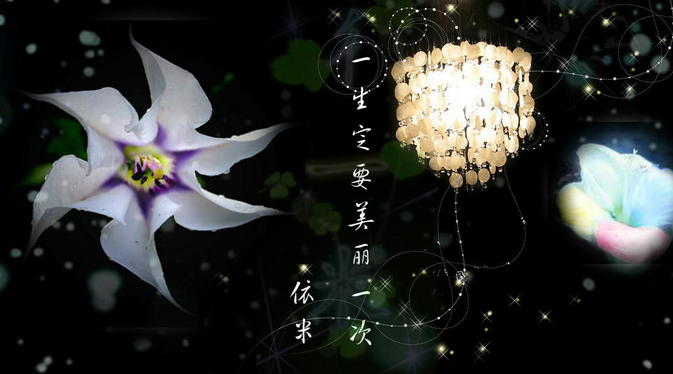 依米花图片 美丽一生!