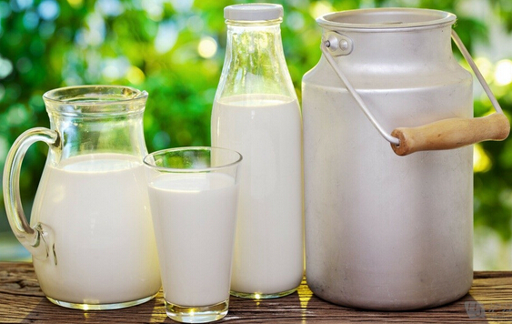 【图】2016牛奶品牌排行榜 牛奶十大品牌排行