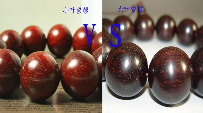 ˵Ǻ߸,ʵ,Ҷ̴ںľеһ