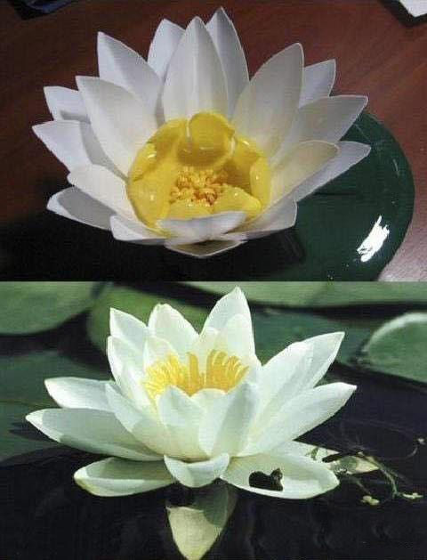 Ҿdiy:ƿΪ ֹdiyƯ
