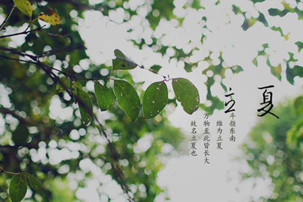 1 迎夏仪式 立夏的夏是大的意思,是指春天播种的植物已经直立长大了。古代,人们非常重视立夏的礼俗。在立夏的这一天,古代帝王要率文武百官到京城南郊去迎夏,举行迎夏仪式。君臣一律穿朱色礼服,配朱色玉佩,连马匹、车旗都要朱红色的,以表达对丰收的企求和美好的愿望。宫廷里立夏日启冰,赐文武大臣。冰是上年冬天贮藏的,由皇帝赐给百官。江浙一带,人们因大好的春光明媚过去了,未免有惜春的伤感,故备酒食为欢,好像送人远去,名为饯春。崔骃在赋里说:迎夏之首,末春之垂。吴藕汀《立夏》诗也说:无可奈何春
