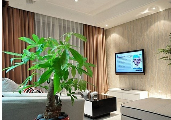 来看看有关盆栽的风水客厅风水包含很多小的细节,家具的摆放以及电视