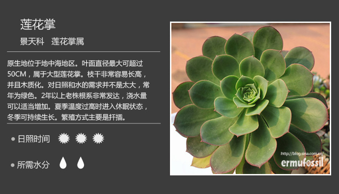 【100种常见多肉植物图鉴】 wbr+ wbr多肉植物常见问题解答
