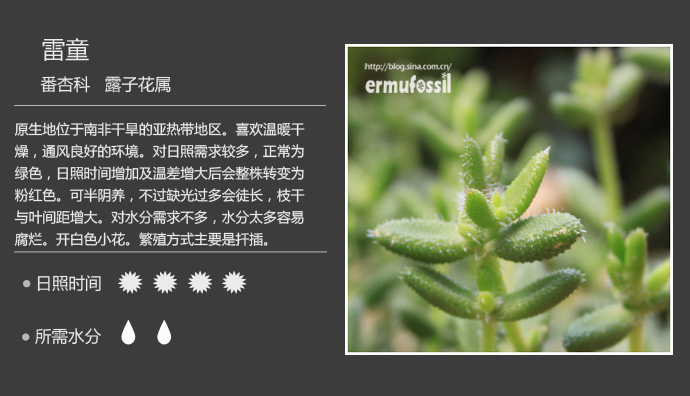 【100种常见多肉植物图鉴】 wbr+ wbr多肉植物常见问题解答