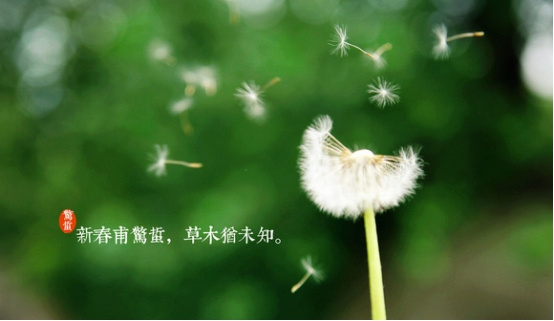 惊蛰开运 惊蛰开运