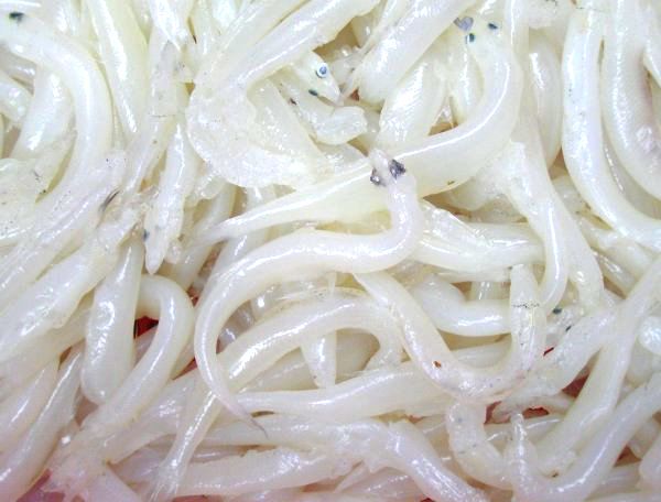 生活小常识:白饭鱼的做法 白饭鱼的营养价值-装修保障网