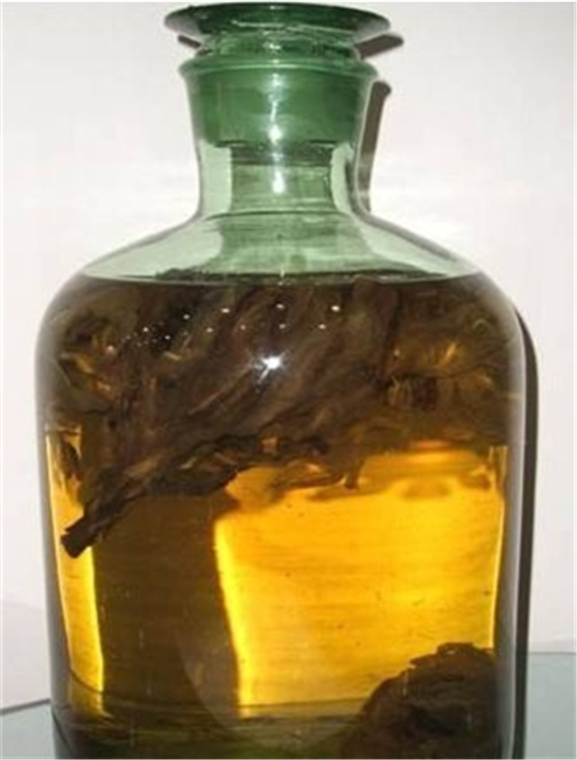 雪莲花怎么吃_雪莲花的吃法大盘点_装修保障