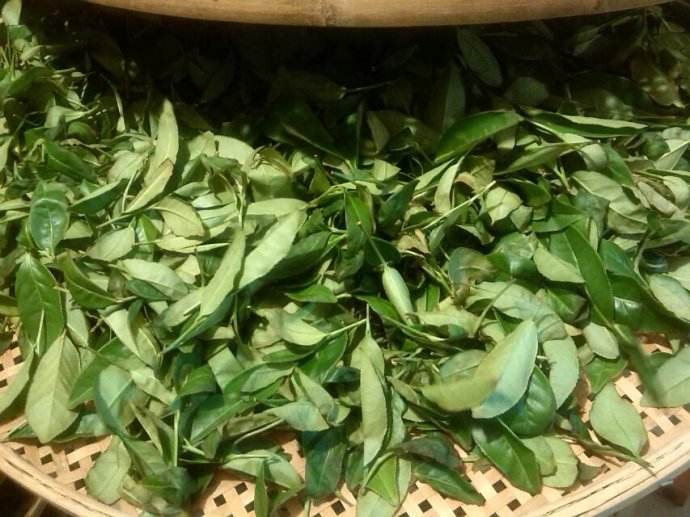 【图】漳平水仙茶价格是多少 漳平水仙茶属于