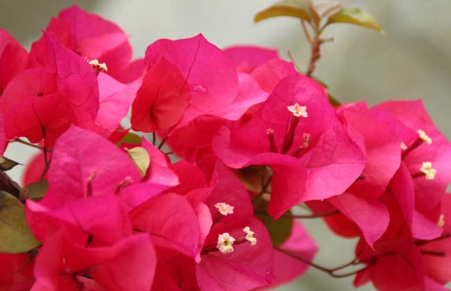 ,ҶӻٶȽϿ,ϵ,,ÿ軻һ.