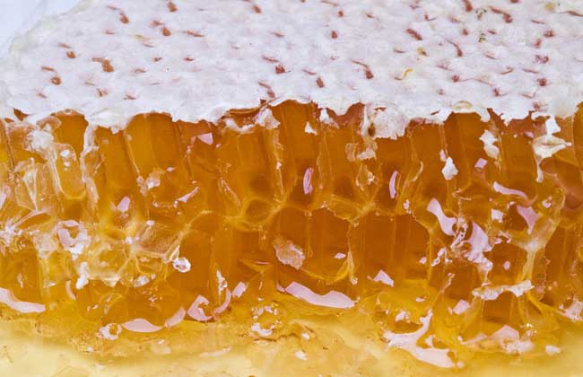 【图】蜂蜜水减肥法是真的蜂蜜水减肥法的比较打好那个瘦腿针图片
