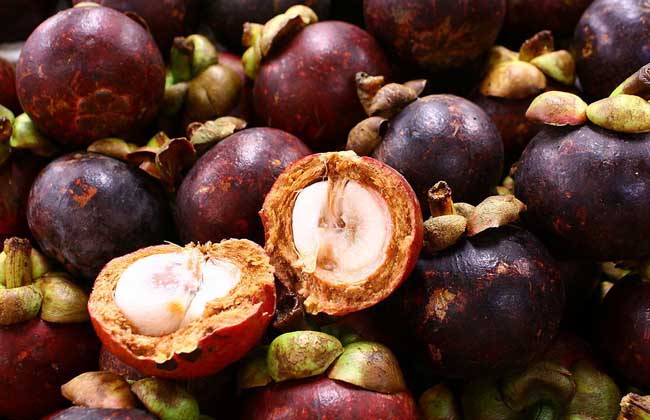 生活小常识:山竹吃多了会上火吗 山竹的功效与