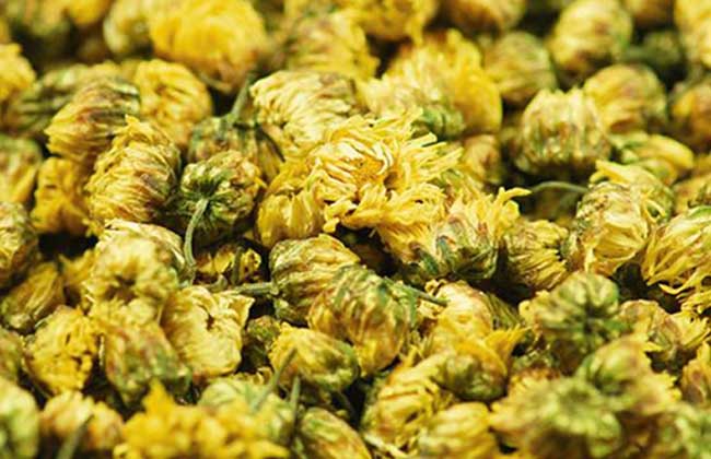 生活小常识:杭菊花的功效与作用及食用方法