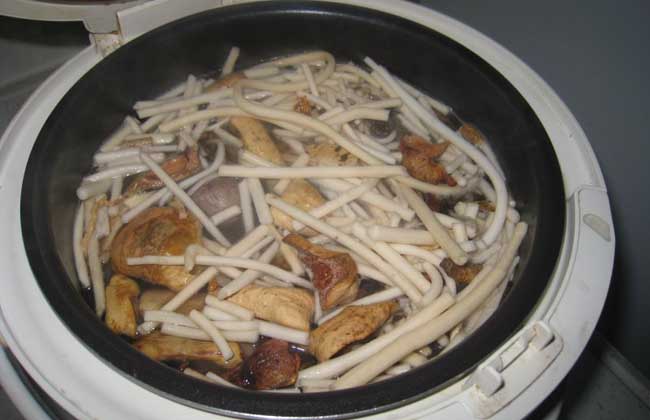 生活小常识:通草的副作用介绍 通草怎么吃