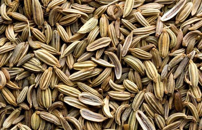 生活小常识:八角和茴香的区别