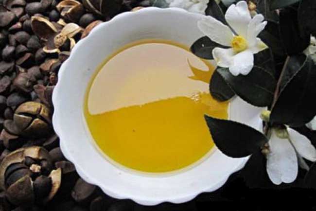 【图】茶油多少钱一斤 茶油的质量指标-装修保