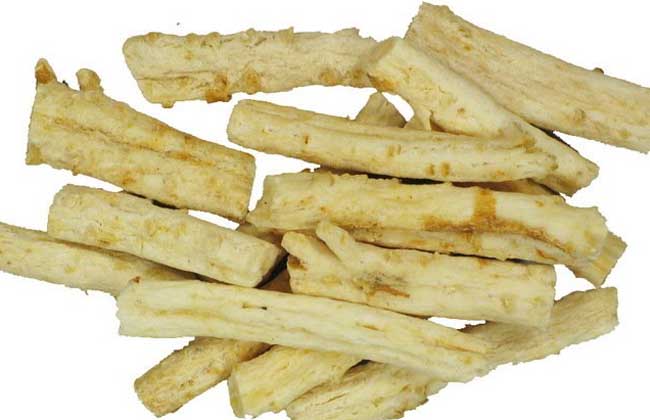 生活小常识:北沙参的功效与作用介绍-装修保障