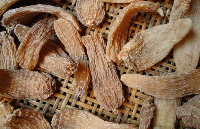 【图】天麻多少钱一斤 天麻的挑选方法
