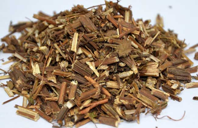 生活小常识:溪黄草的功效介绍 溪黄草的副作用有哪些?