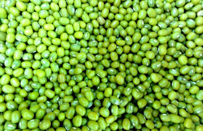 牛肉与绿豆可以同时食用吗?