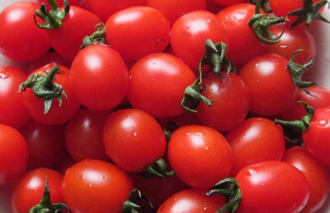 生活小常识:吃圣女果有什么好处-装修保障网