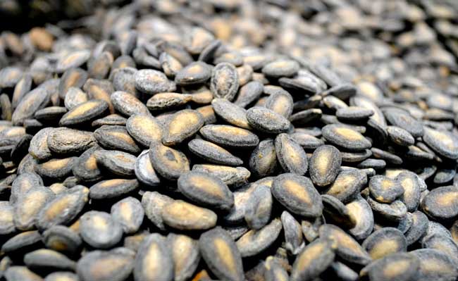 生活小常识:西瓜子的功效与作用-装修保障网