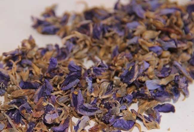 生活小常识:葛花茶的饮用方法 葛花茶的作用与功效