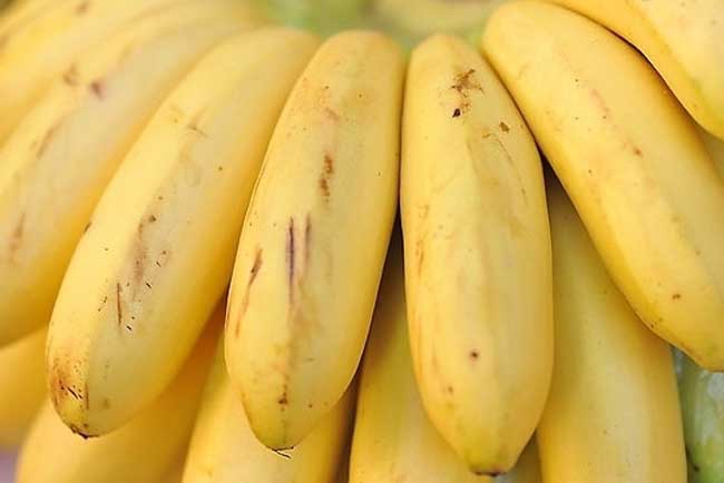 【图】香蕉有什么副作用?香蕉吃多会怎样-装修