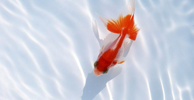 财运风水 财运风水