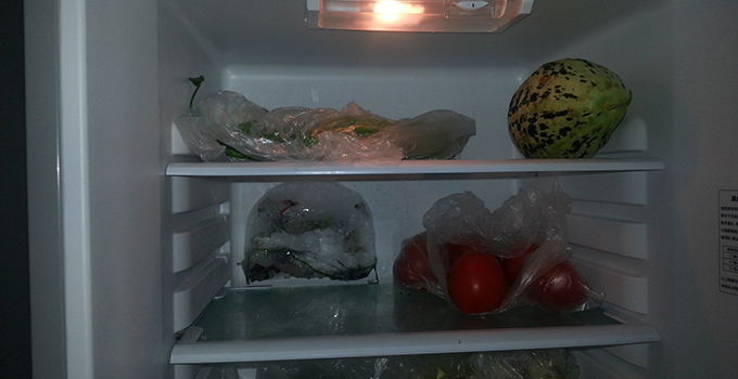 生活小常识:冰箱保鲜室结冰的除冰方法-装修保