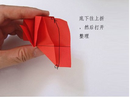 ֹdiy:ֹֽõ廨ͼ