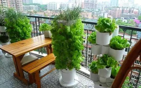 用来种菜,大的pvc水管可以拼凑起来放阳台种菜.