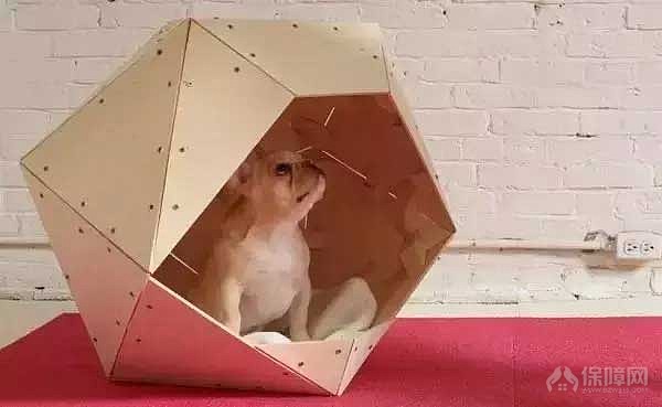 家装创意宠物窝设计