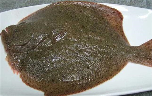 摘要:多宝鱼这种原产于欧洲大西洋海域,而且它被世界公认的优质比目鱼