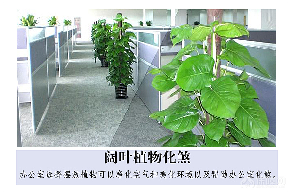 台灯在办公室也是比较常见的,其实台灯也是很好的挡煞的物品.