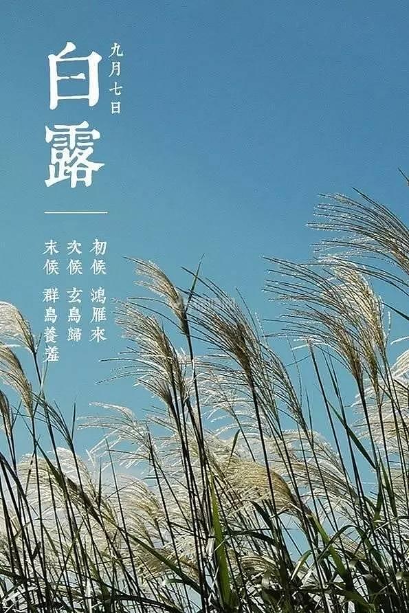 生活热点 【图】白露养生,习俗及诗词介绍      白露是24节气之一