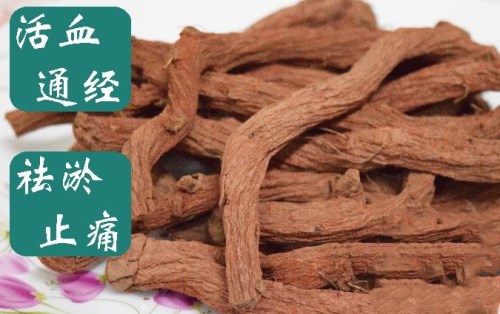 那么,红丹参要怎么吃?它具有哪些功效与作用呢?