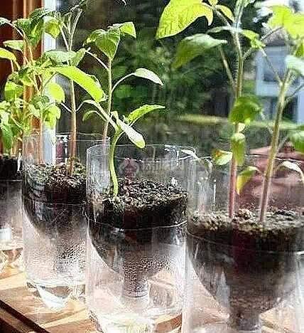 手工DIY花盆