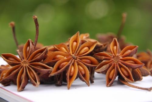 【图】八角的药食价值有哪些 八角做什么菜好吃