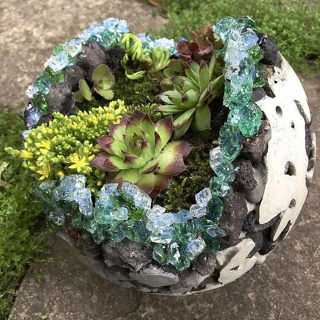 用身边的废品diy花盆 环保省钱而且创意十足
