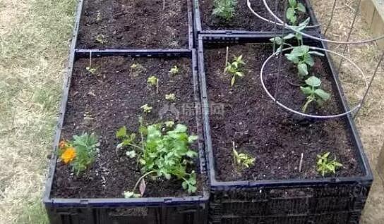 塑料筐舊物改造 你隨手丟的東西竟有如此大用處