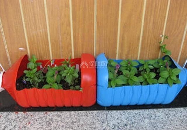diy花盆制作廢物利用 把老奶奶這幾招學(xué)下來(lái)可省下一筆