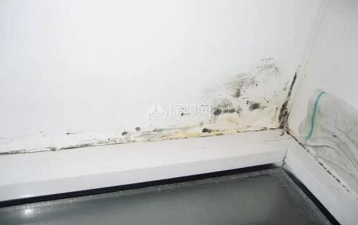 墻壁污漬怎么清理 老師傅教你幾招免去重刷煩惱