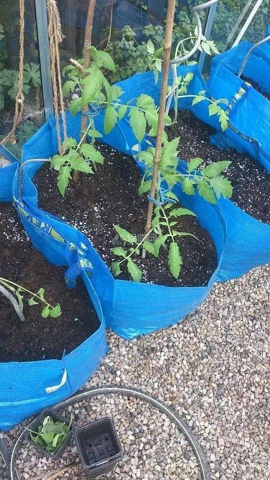 購物袋diy 幾款錢改出幾百塊的效果