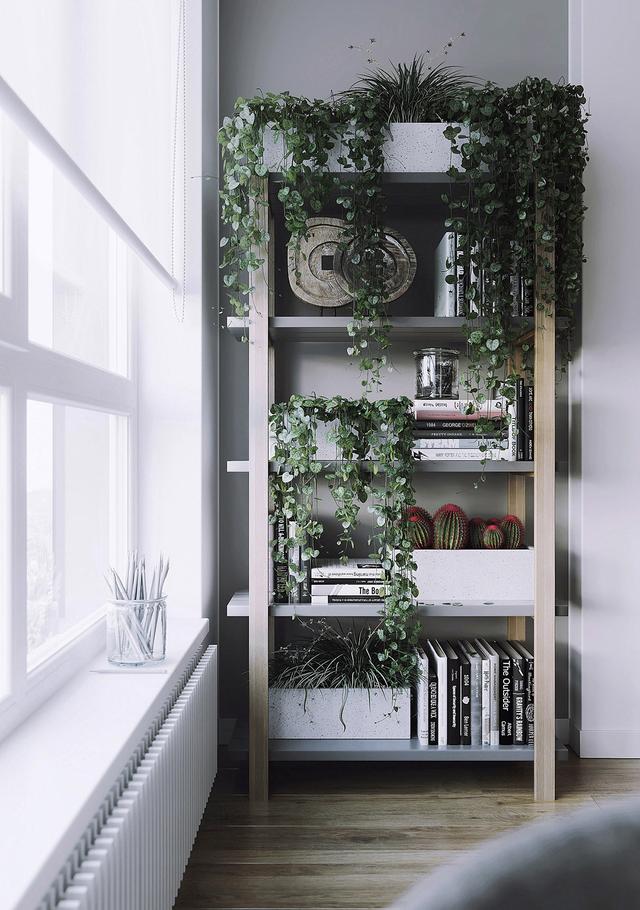 把植物融入家居中，使空间充满自然的活力