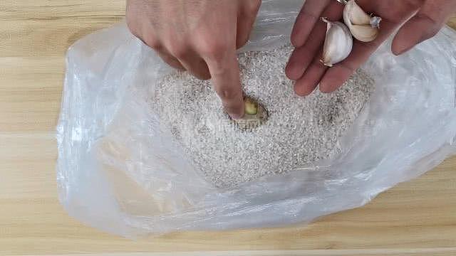夏天如何防止米生蟲 網(wǎng)友分享的妙招確實(shí)實(shí)用