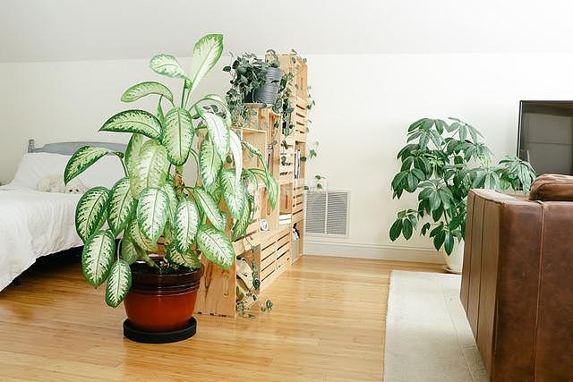 房间隔断屏风diy 有了这些设计想法自己动手做不用买