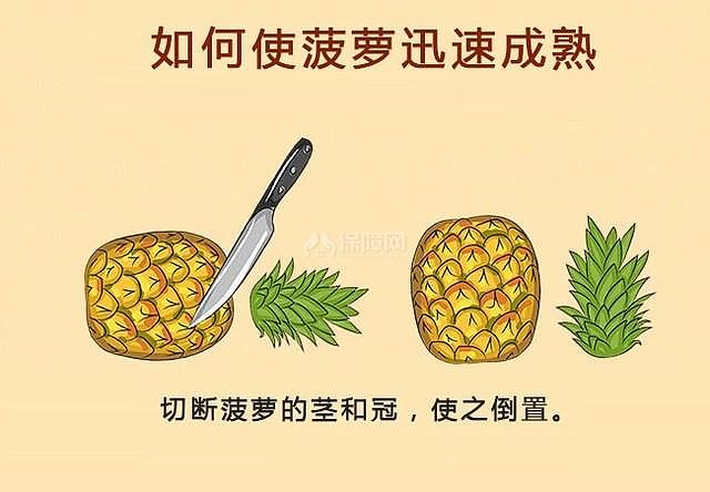 如何使菠蘿迅速成熟
