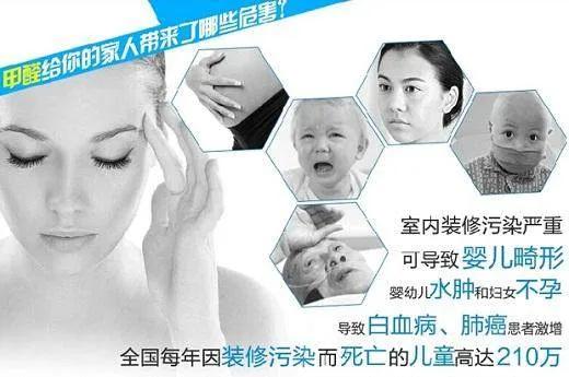 放一大堆的綠植真的能去甲醛嗎 放一大堆的綠植真的能去甲醛嗎