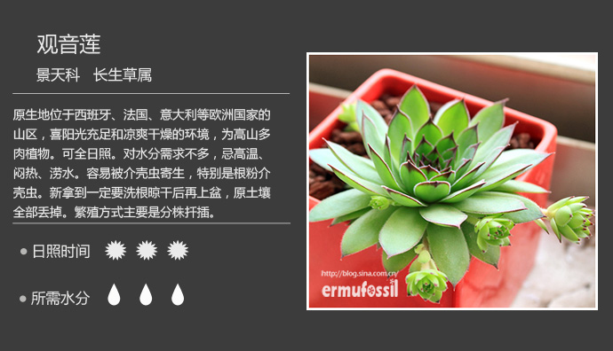 【100种常见多肉植物图鉴 wbr wbr>多肉植物常见问题解答