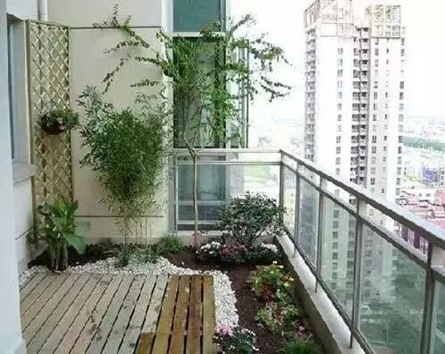 城里人的天阳台装修改造:阳台微花园